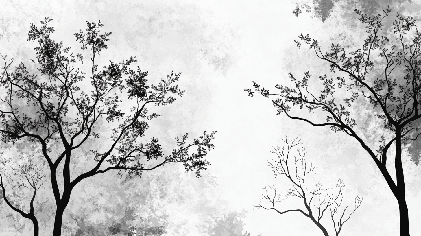 Papier Peint Arbre Noir Et Blanc Couloir