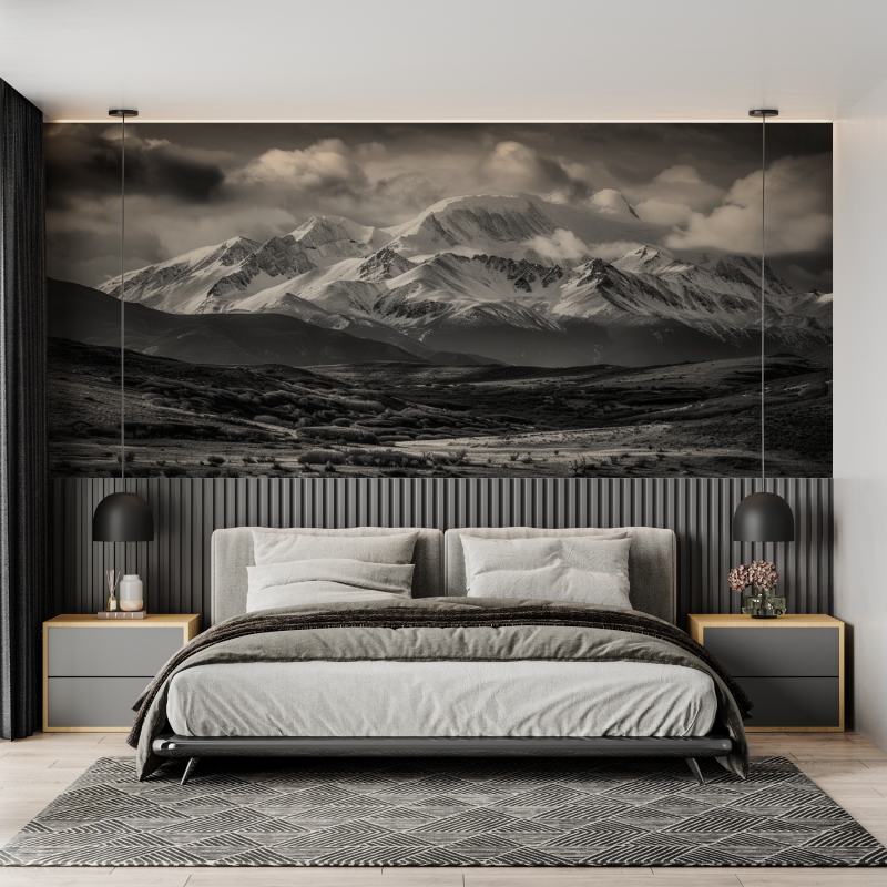 Papier peint montagne noir et blanc les aravis mural adulte