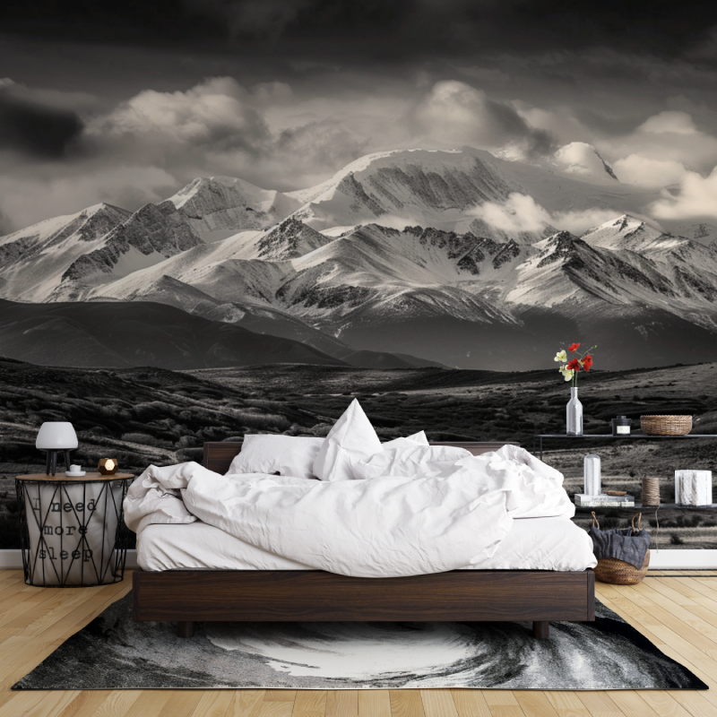 Papier peint montagne noir et b...es aravis leroy merlin mur