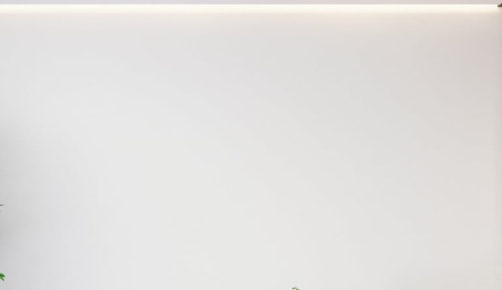 Papier Peint Blanc Intissé