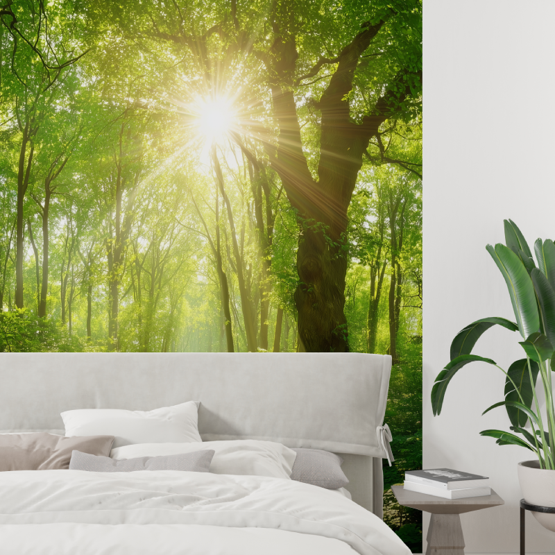 Sunny forest mural wallpaper tapisserie tendance