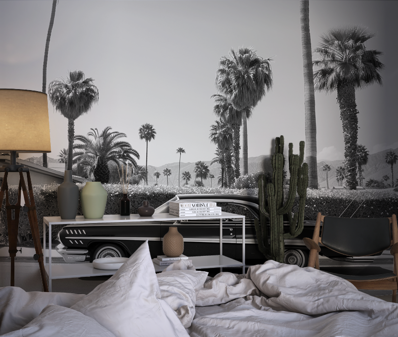 Papier peint noir et blanc voiture miami chambre dado1
