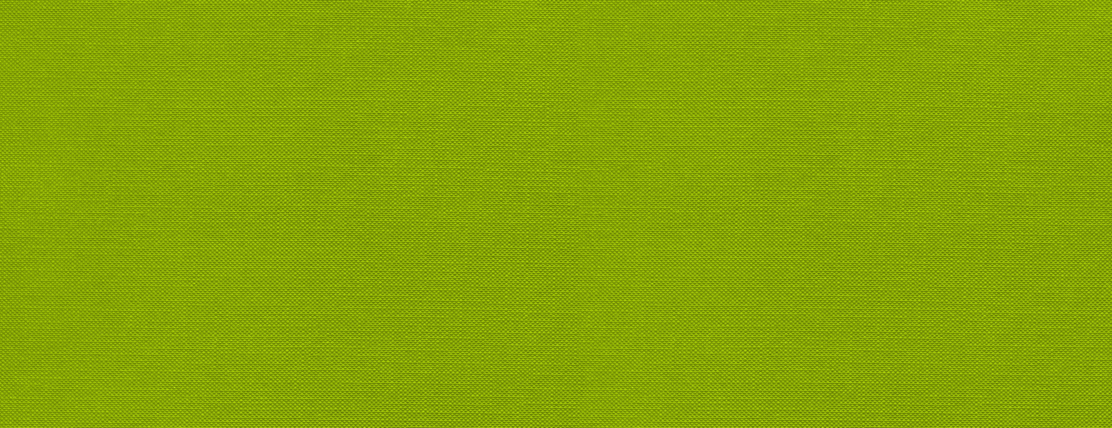 Papier Peint Vert Anis