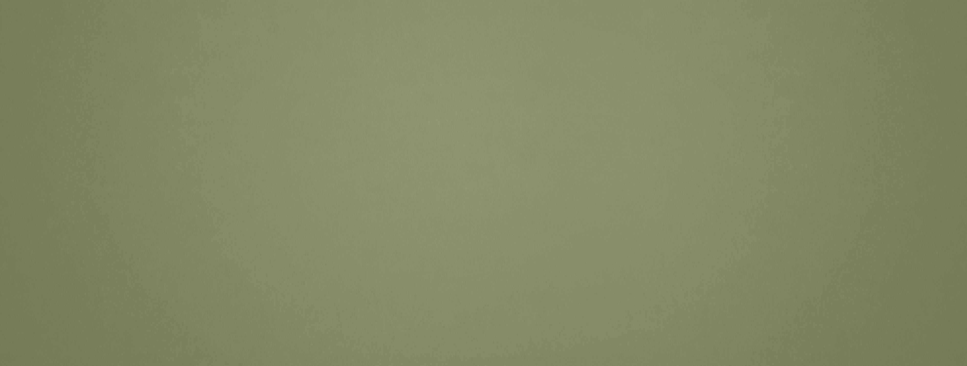 Papier Peint Olive