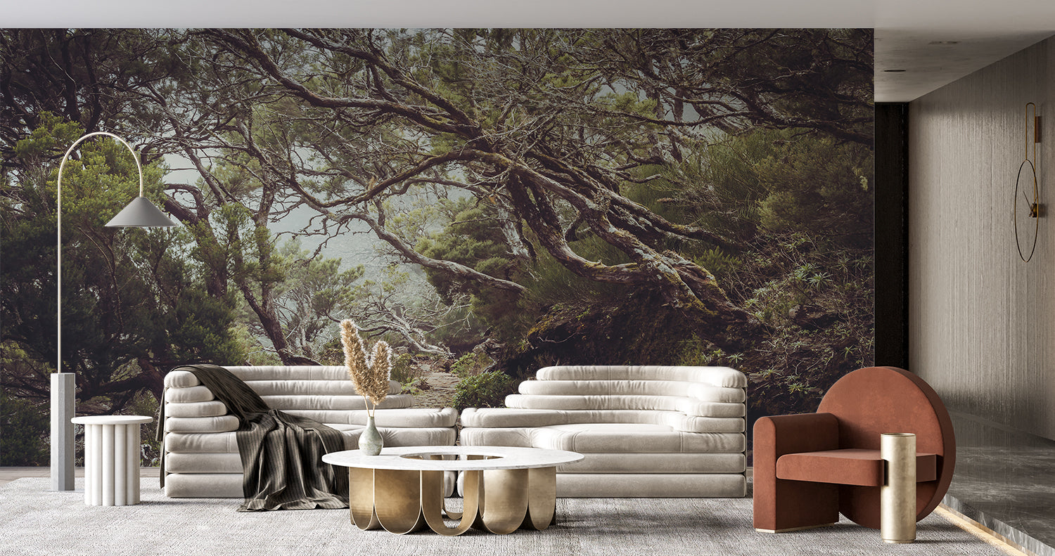 Papier Peint Petite Foret