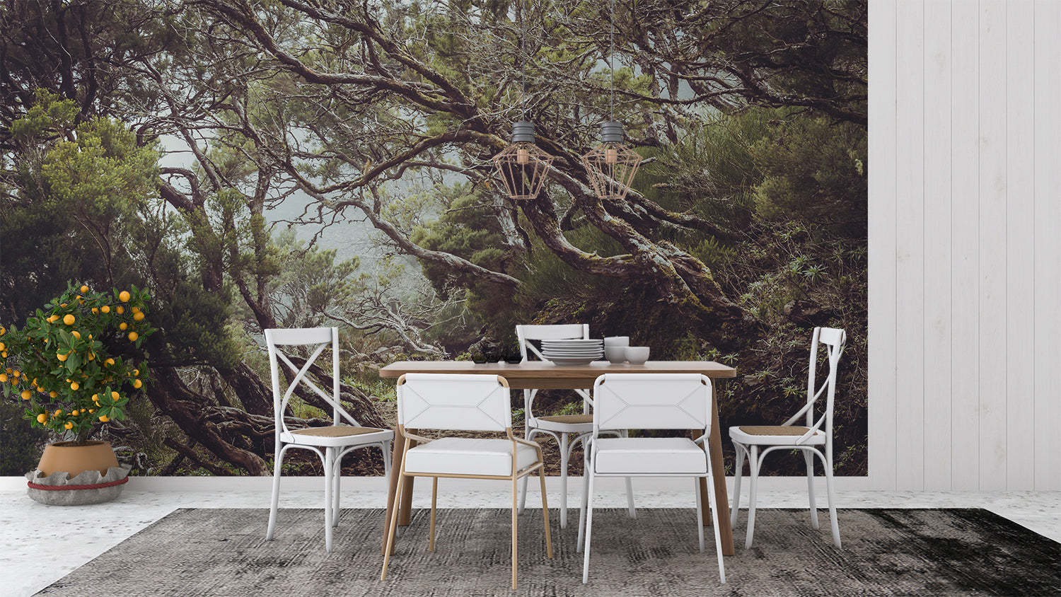 Papier Peint Petite Foret