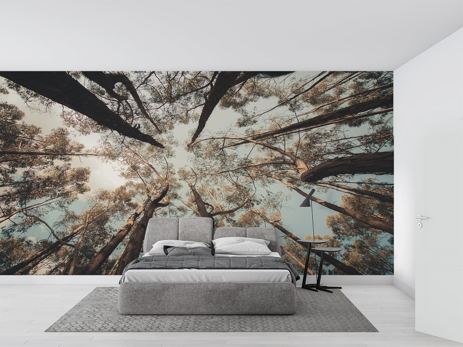 Papier Peint Arbre Foret