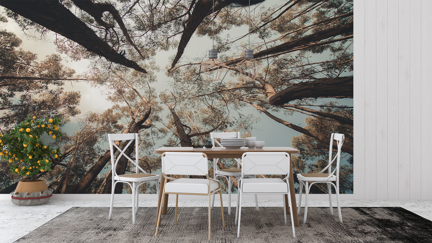 Papier Peint Arbre Foret