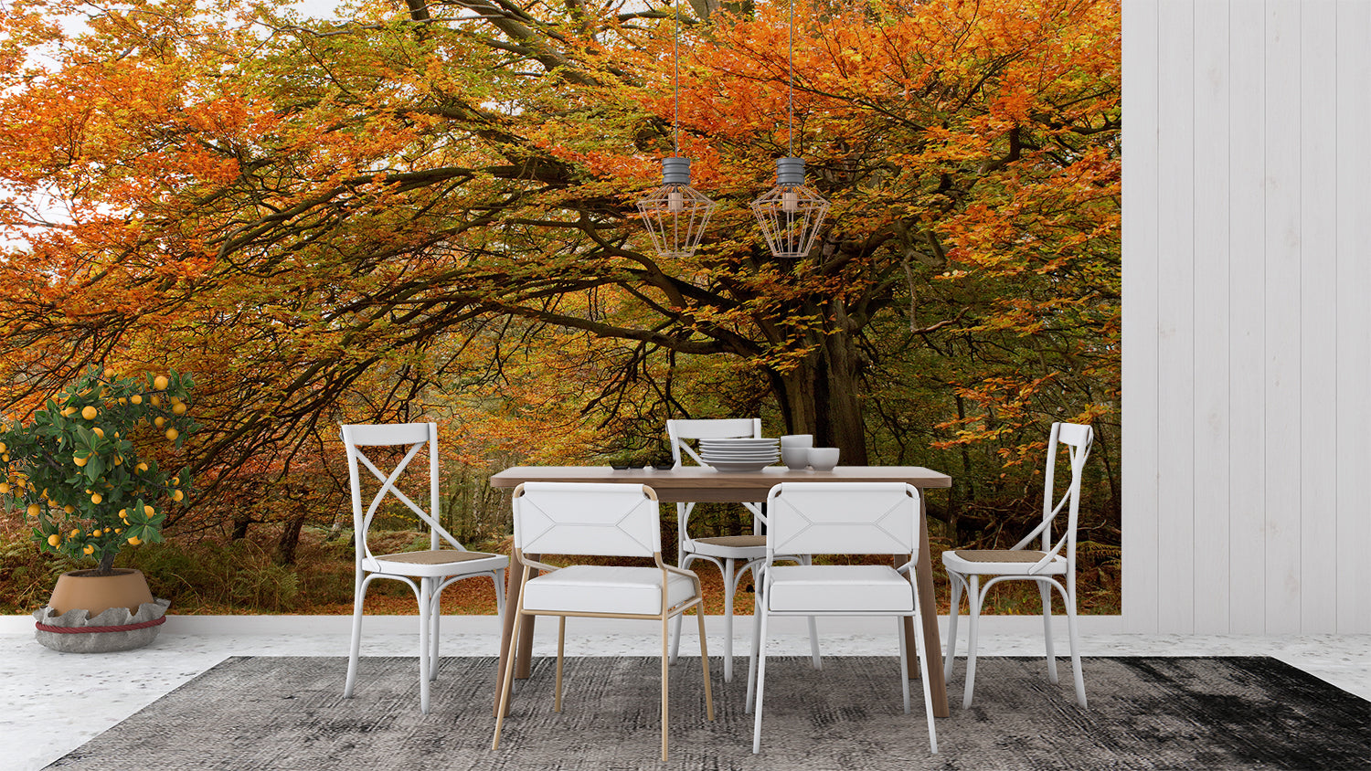 Papier Peint Foret Automne