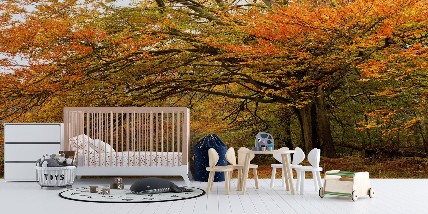 Papier Peint Foret Automne