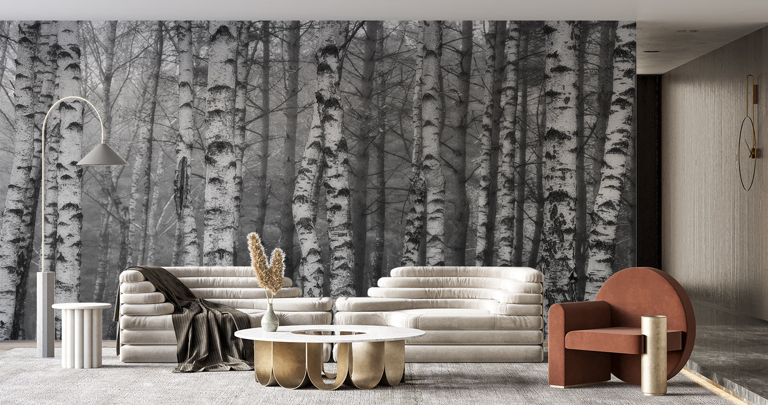 Papier Peint Foret Bouleau