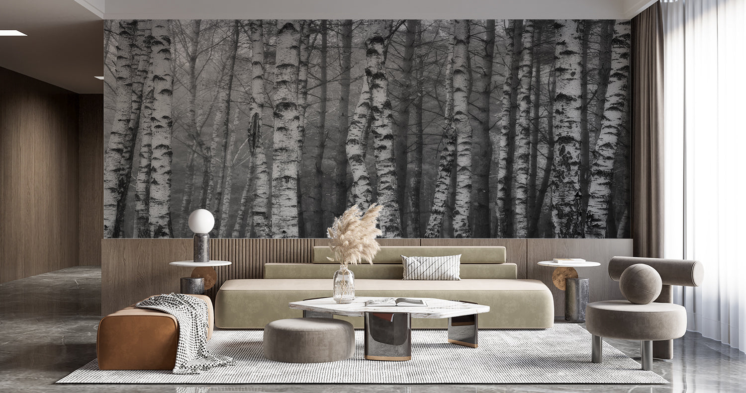 Papier Peint Foret Bouleau