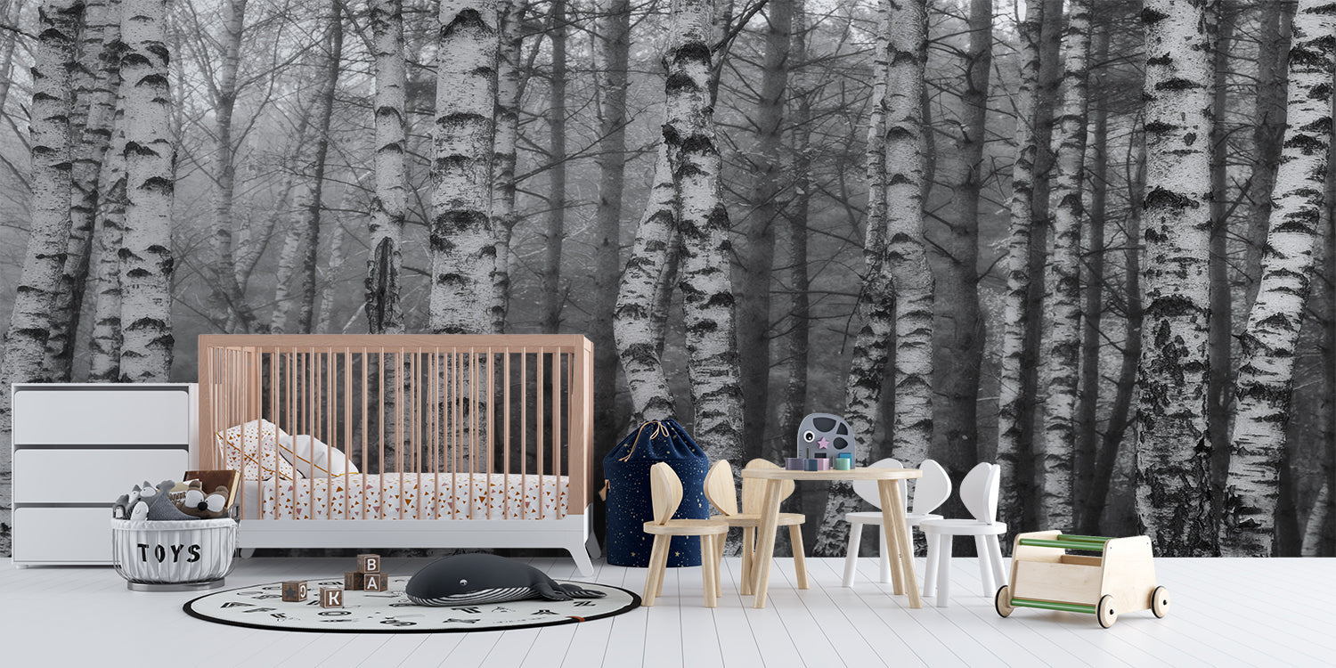 Papier Peint Foret Bouleau