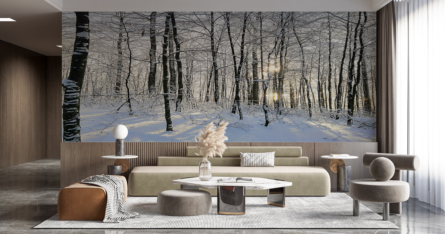 Papier Peint Panoramique Foret De Bouleau