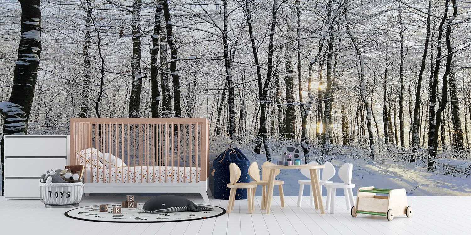 Papier Peint Panoramique Foret De Bouleau