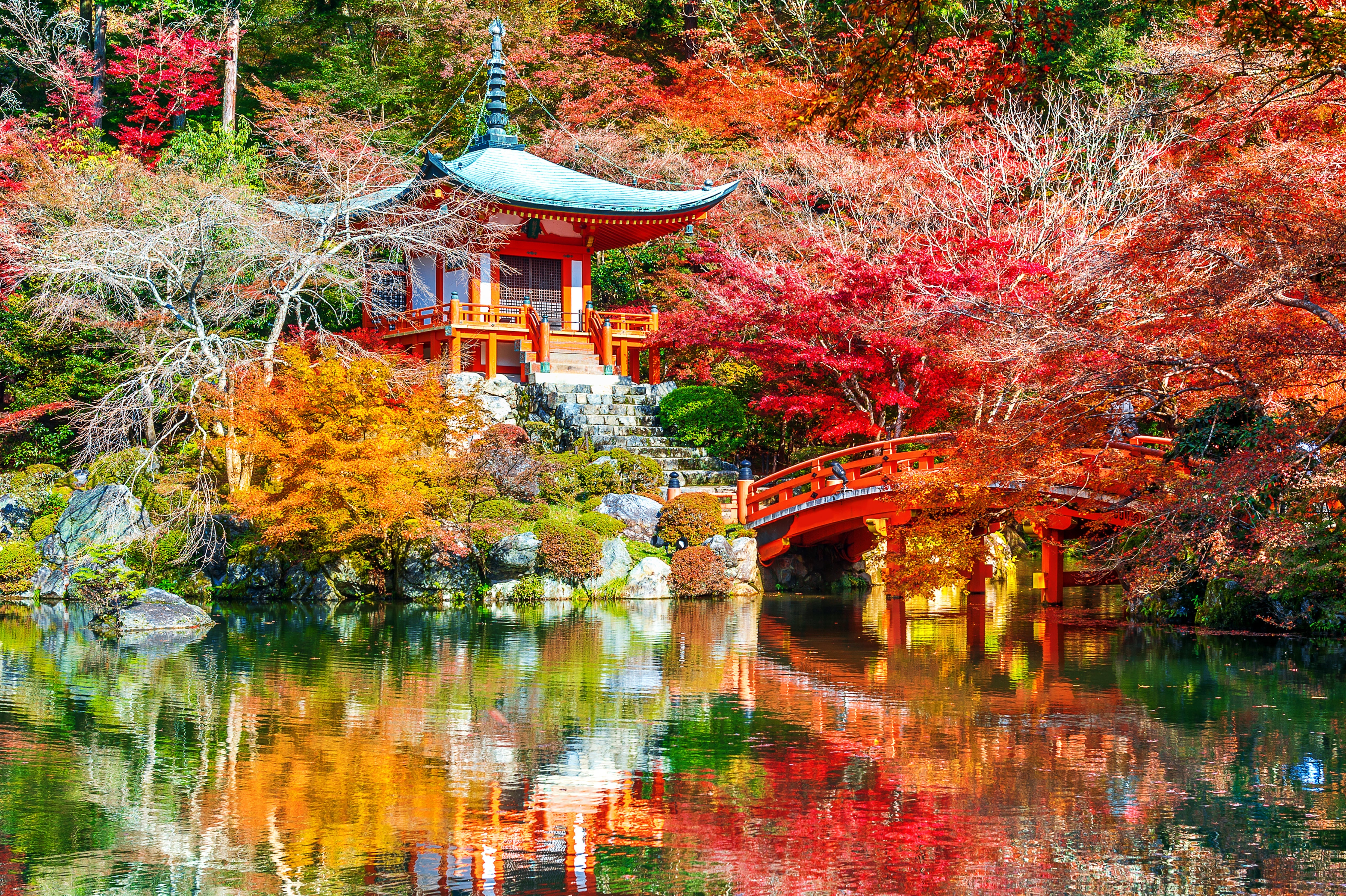 Papier Peint Panoramique Jardin Japonais