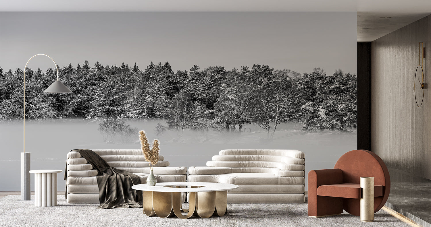 Papier Peint Panoramique Noir Et Blanc Foret