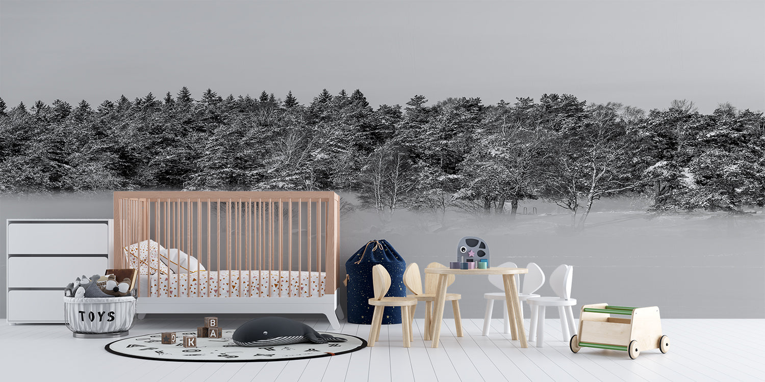 Papier Peint Panoramique Noir Et Blanc Foret