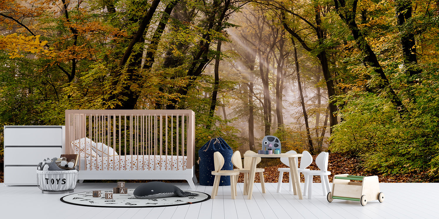 Papier Peint Photo Foret