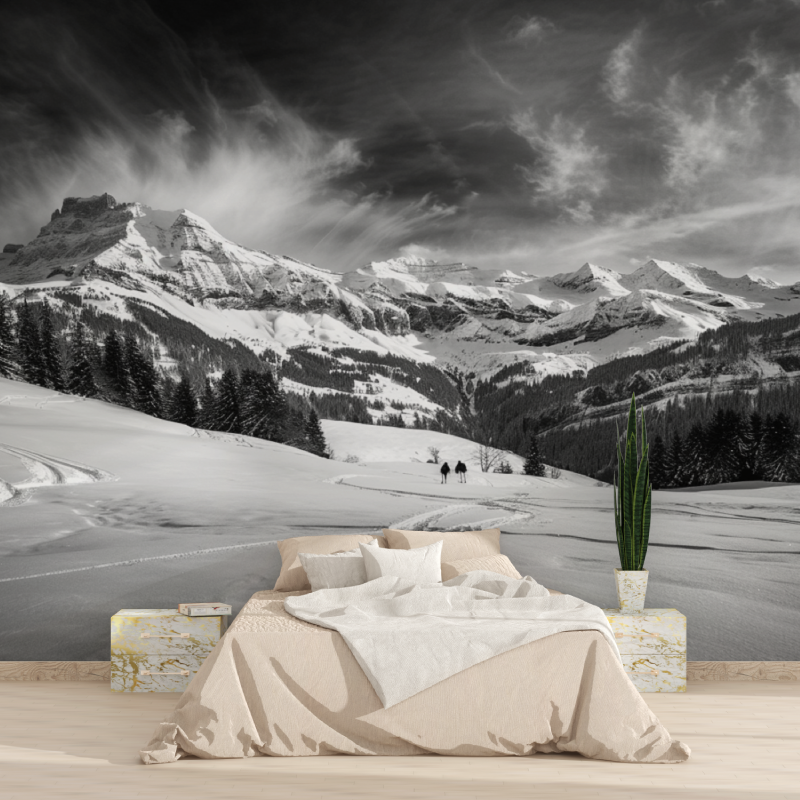 Papier peint panoramique montag...r et blanc tapisserie 2025