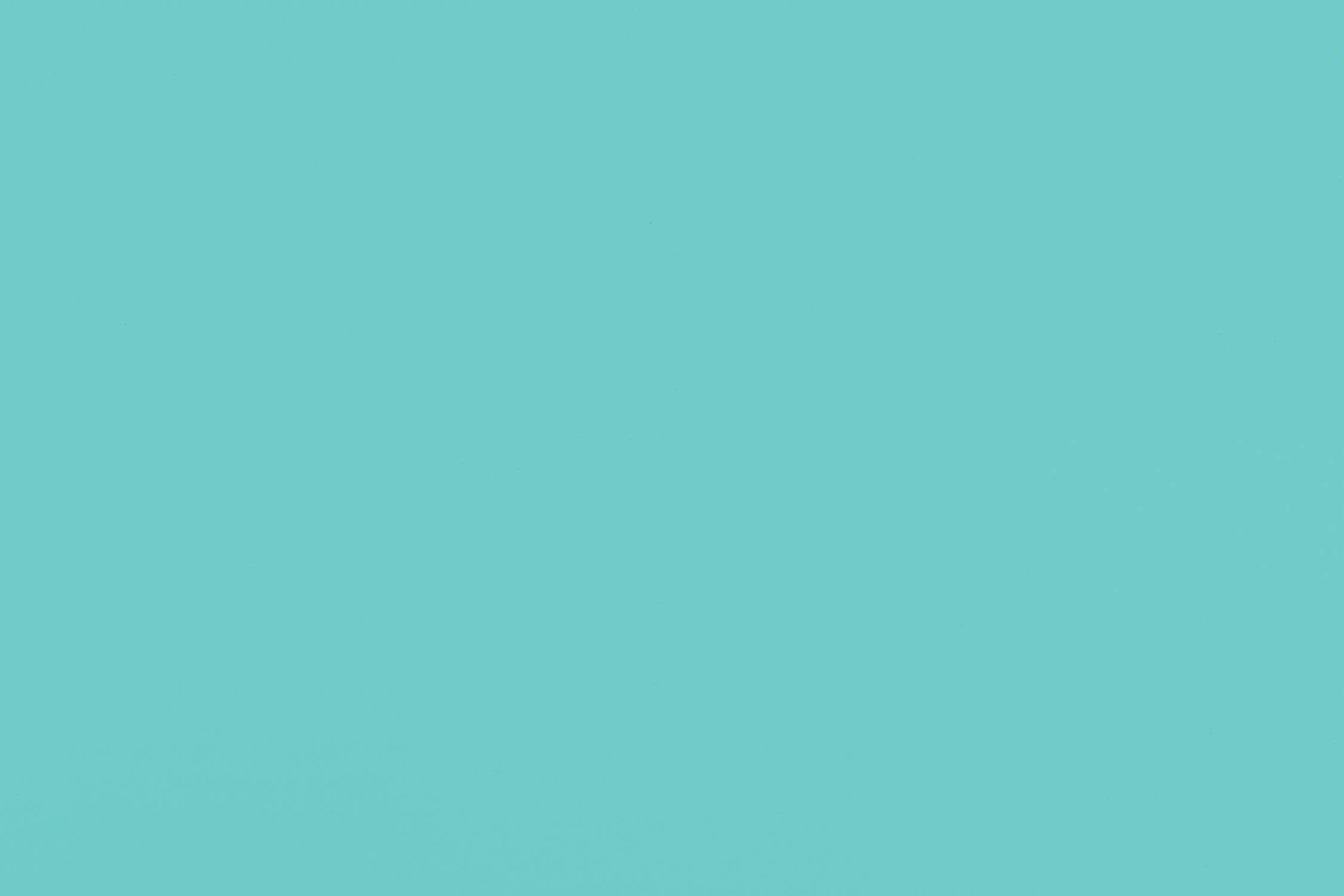 Papier Peint Menthe