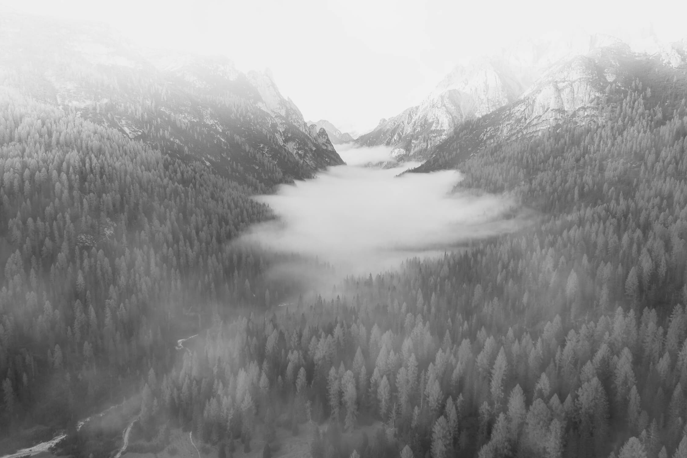 Papier Peint Aquarelle Brume Et Montagnes