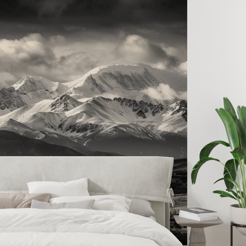 Papier peint montagne noir et b...aravis tapisserie tendance