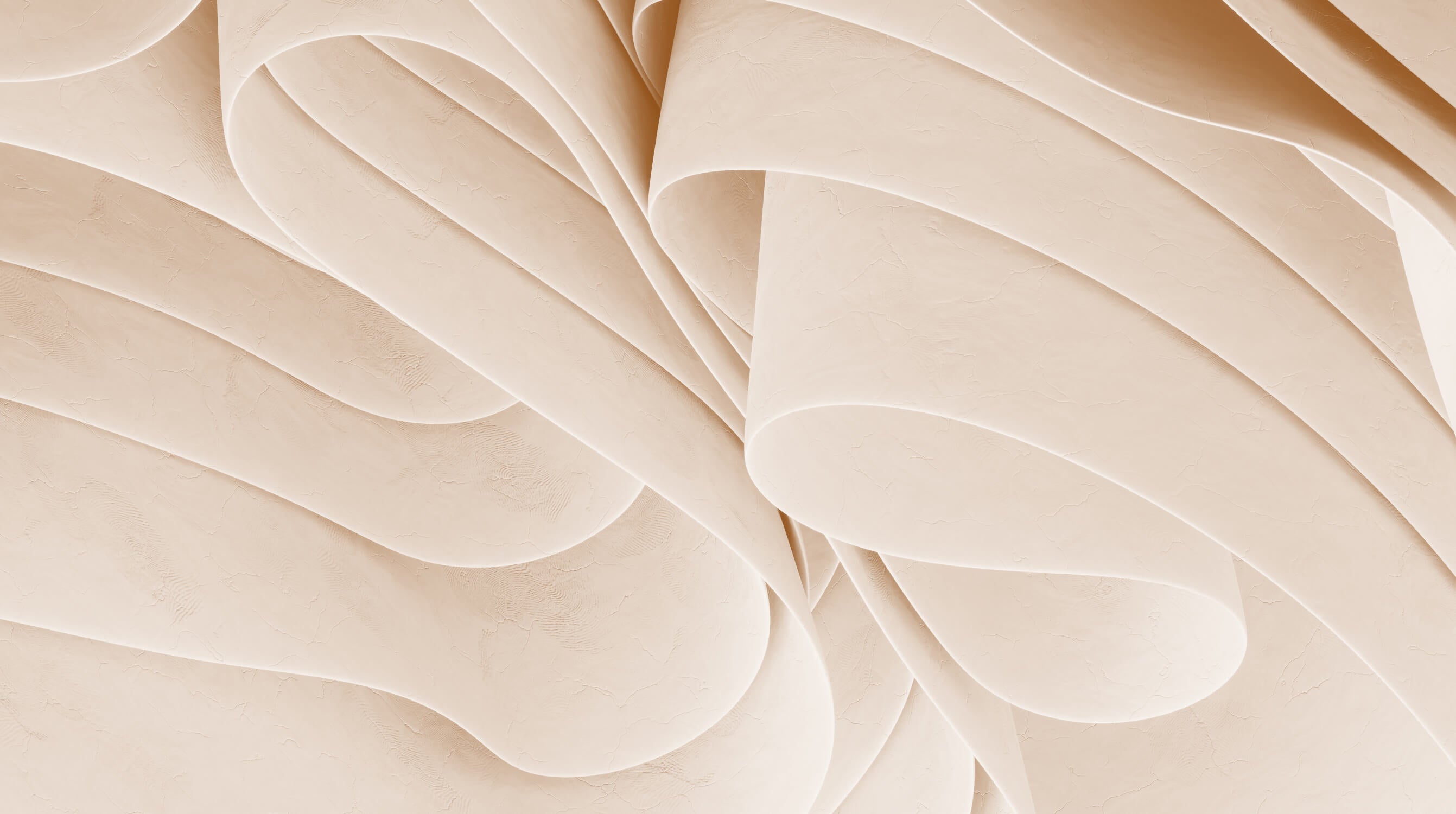Papier Peint Xl Cocoon