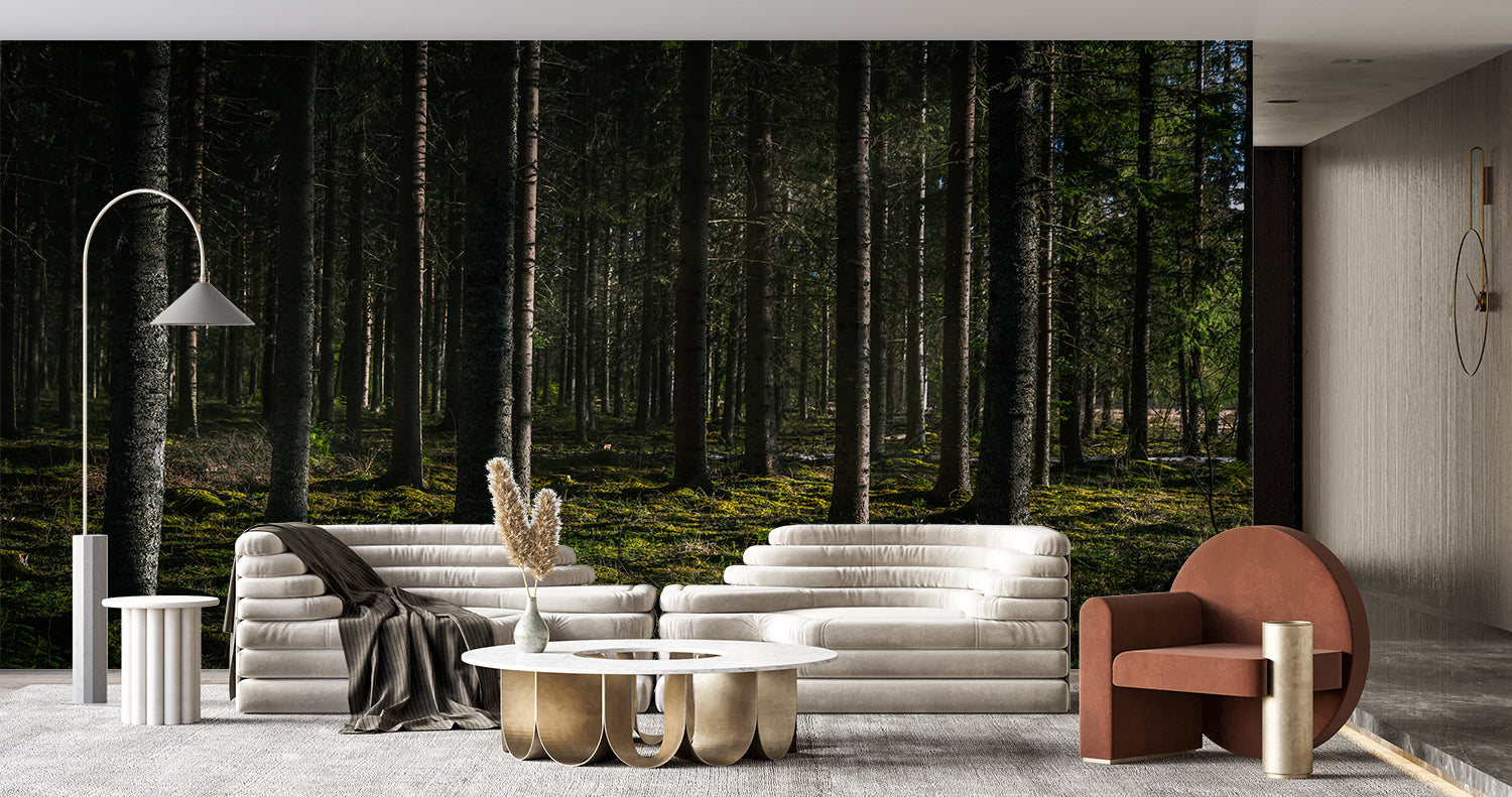 Foret Papier Peint