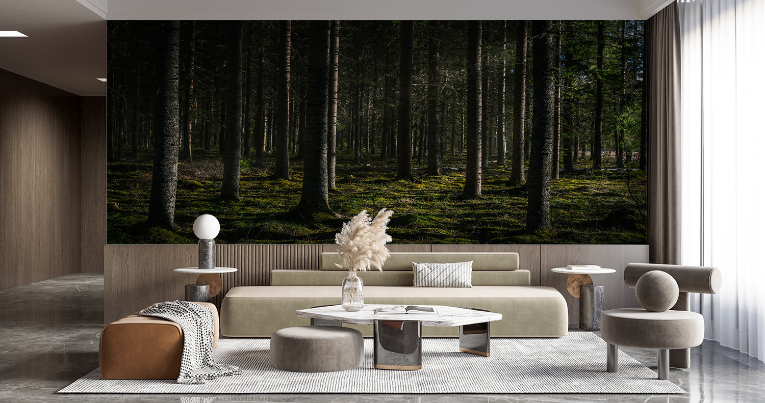 Foret Papier Peint