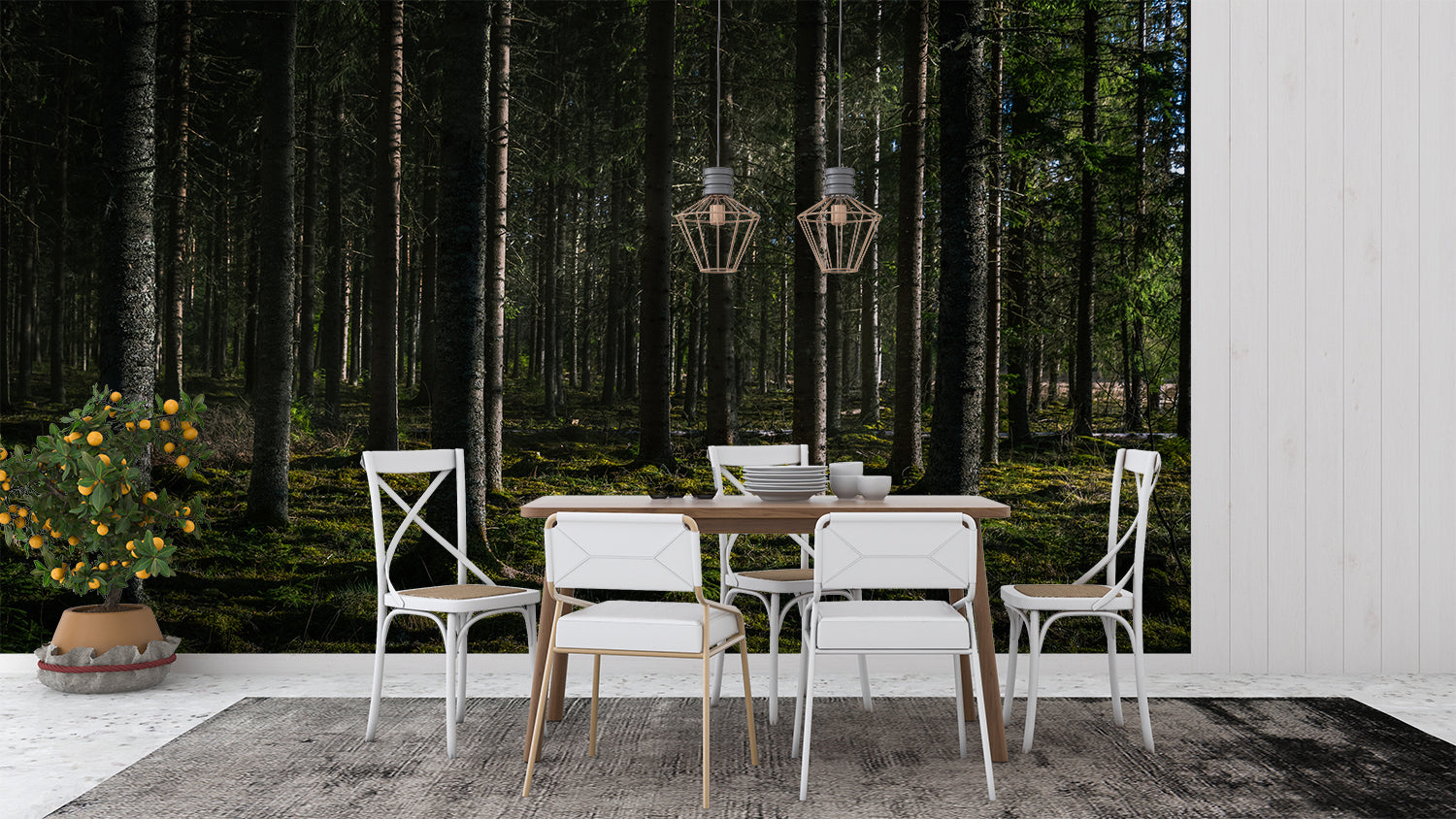 Foret Papier Peint