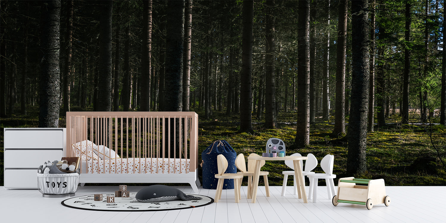 Foret Papier Peint