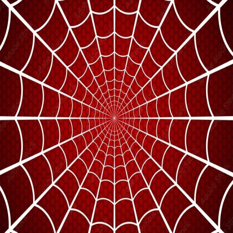 Papier Peint XXL Spiderman