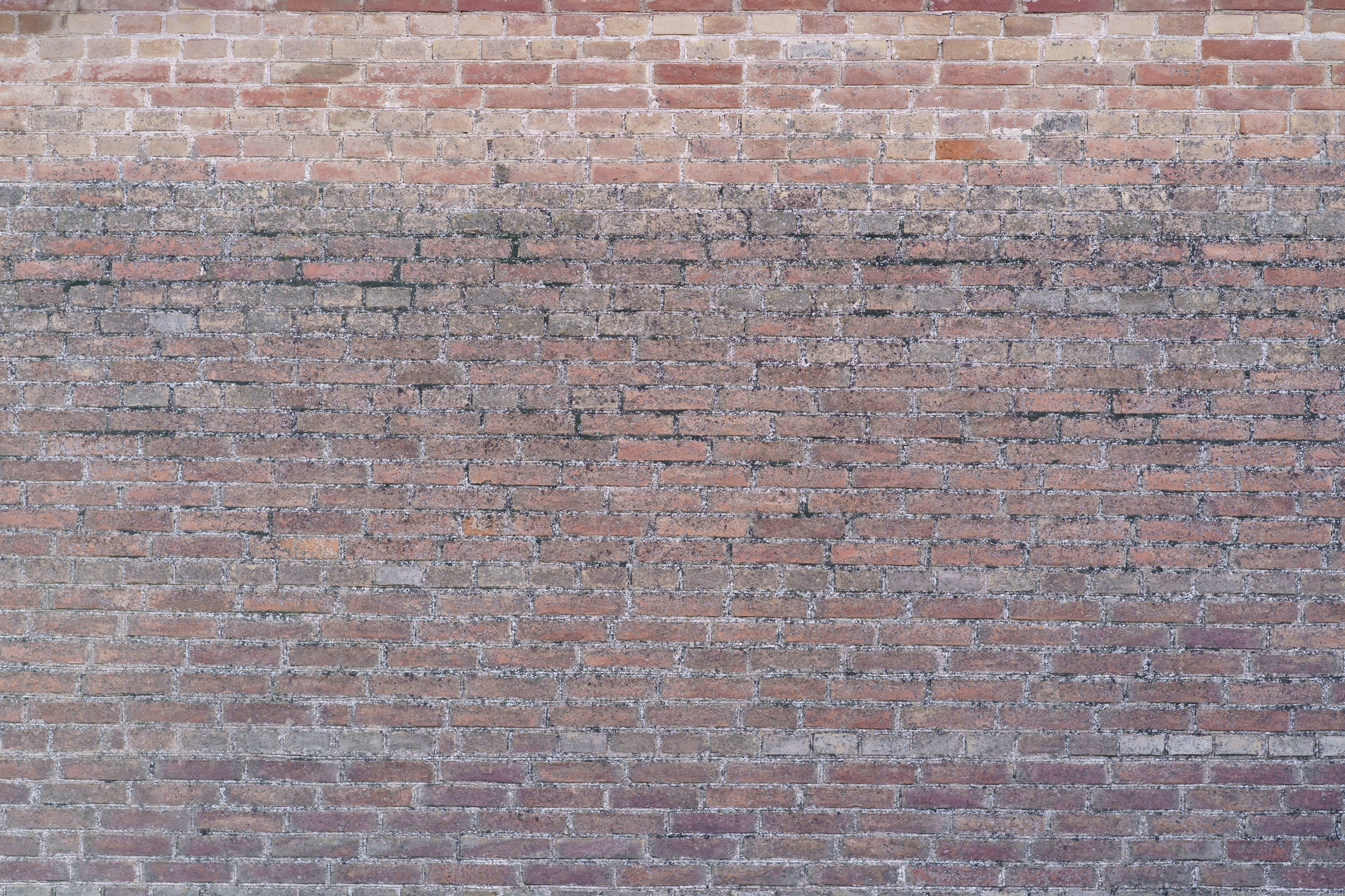 Papier Peint Brique Salon
