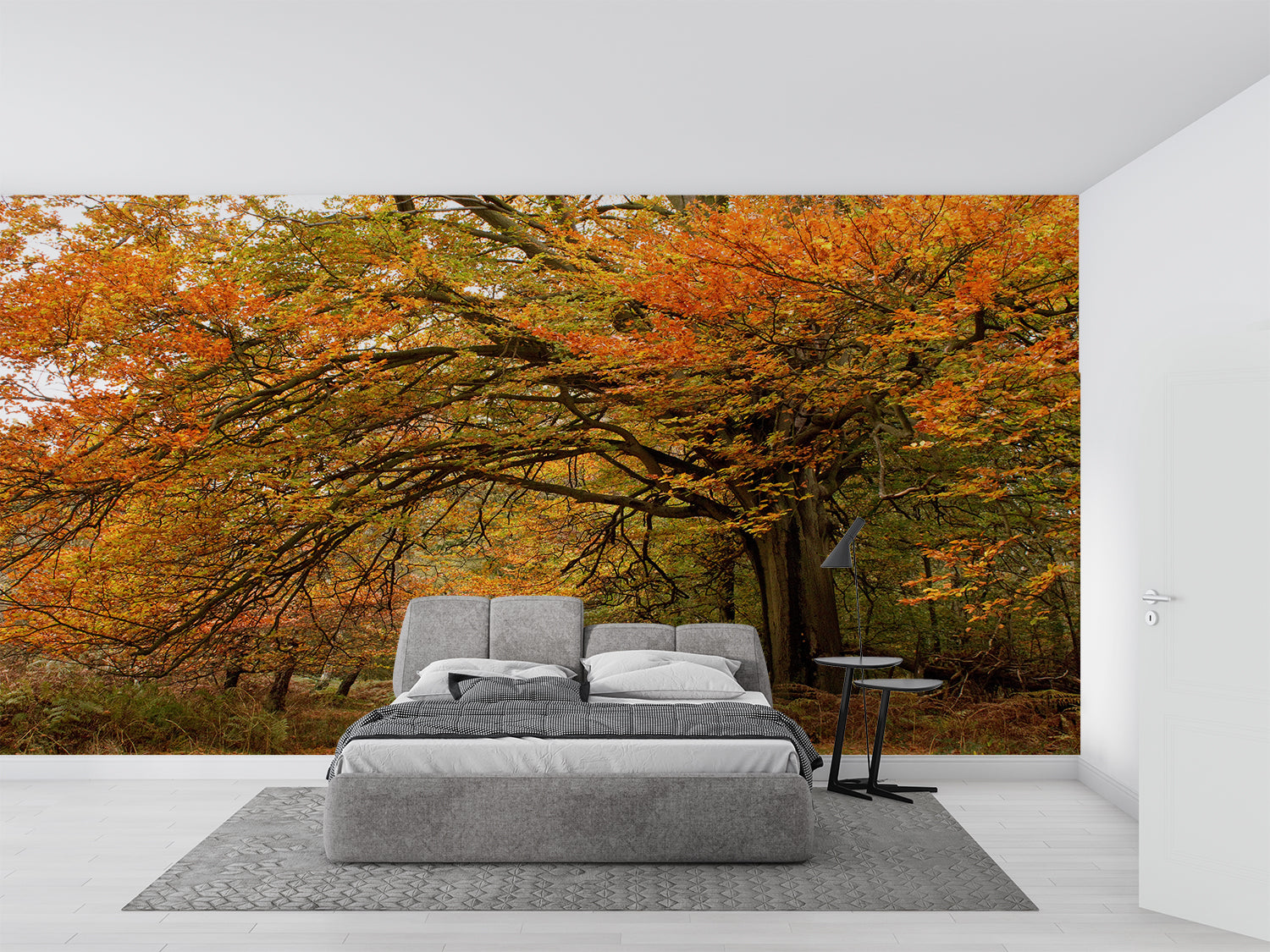 Papier Peint Foret Automne