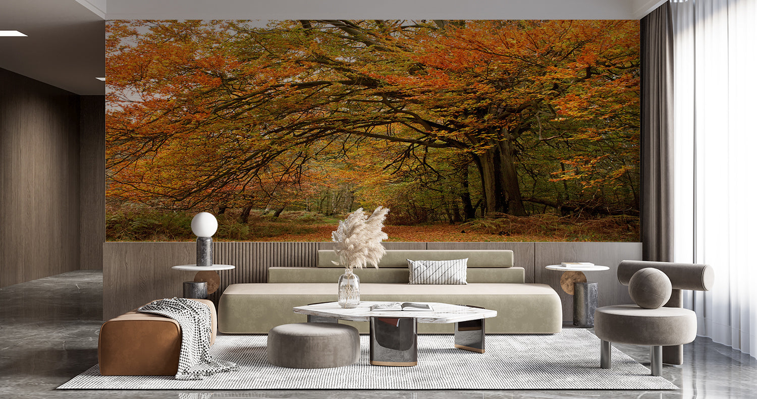 Papier Peint Foret Automne