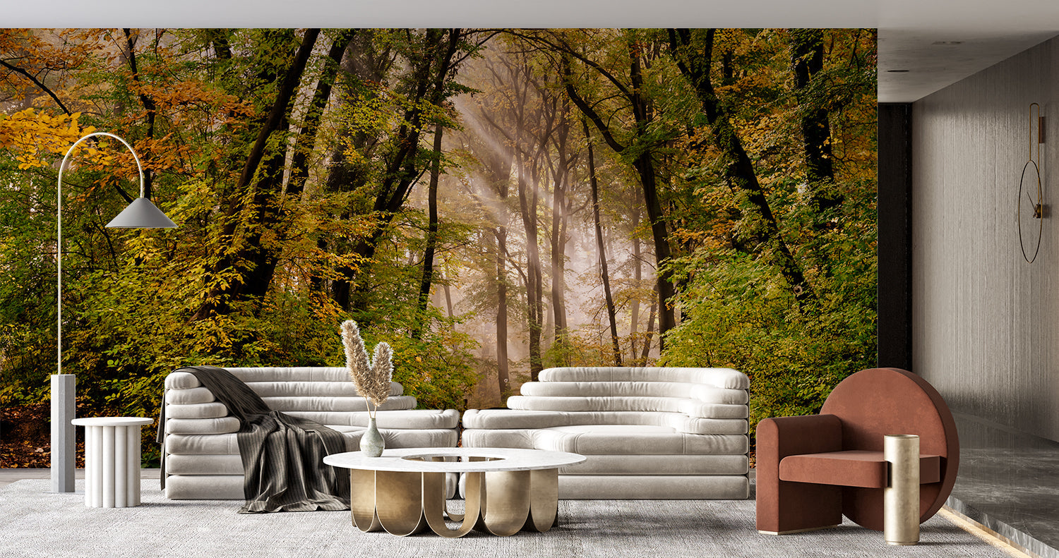 Papier Peint Photo Foret