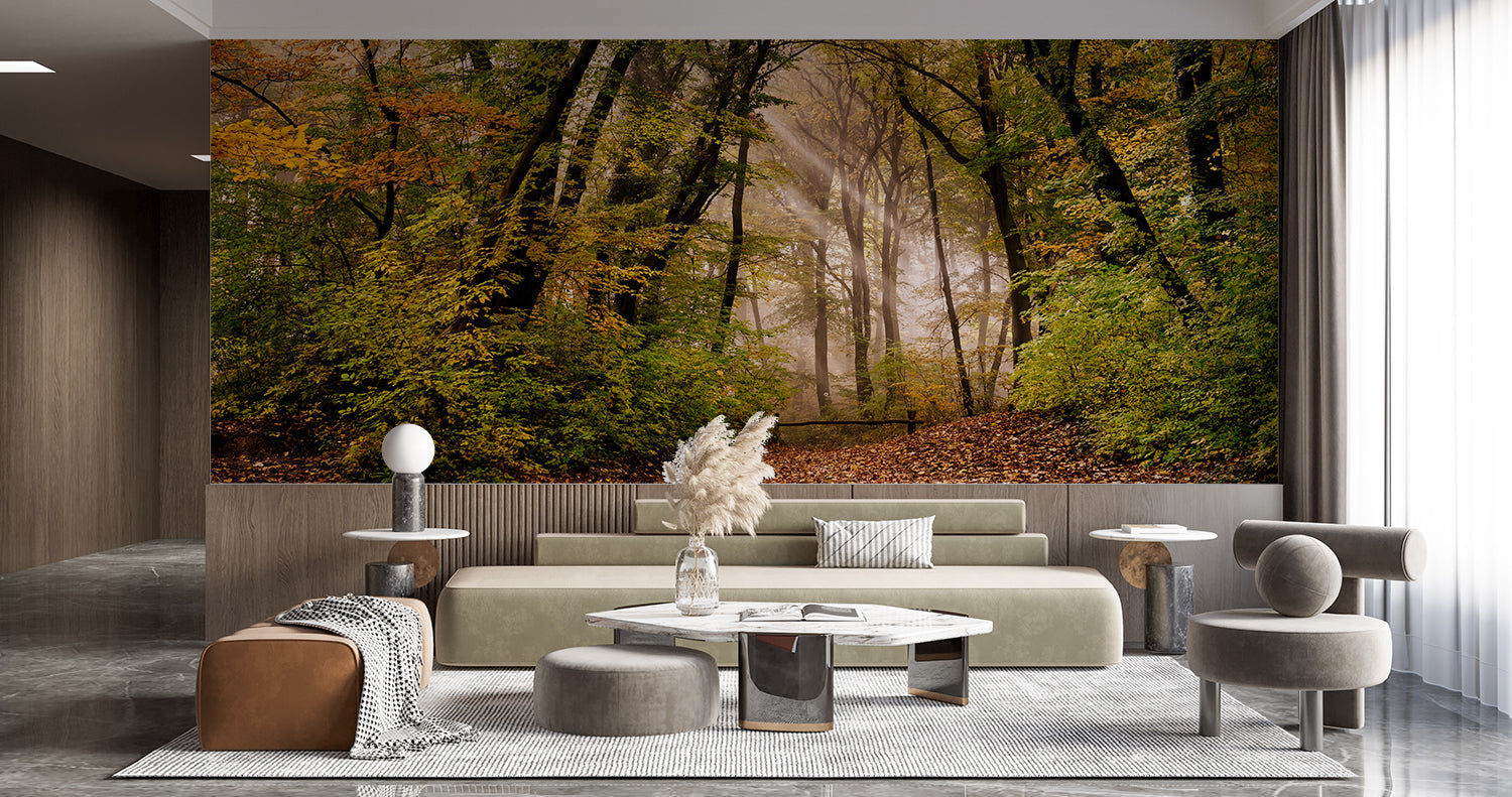 Papier Peint Photo Foret