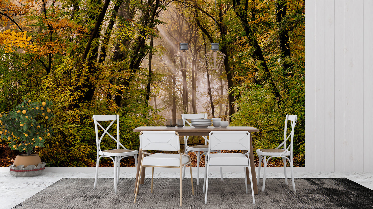 Papier Peint Photo Foret