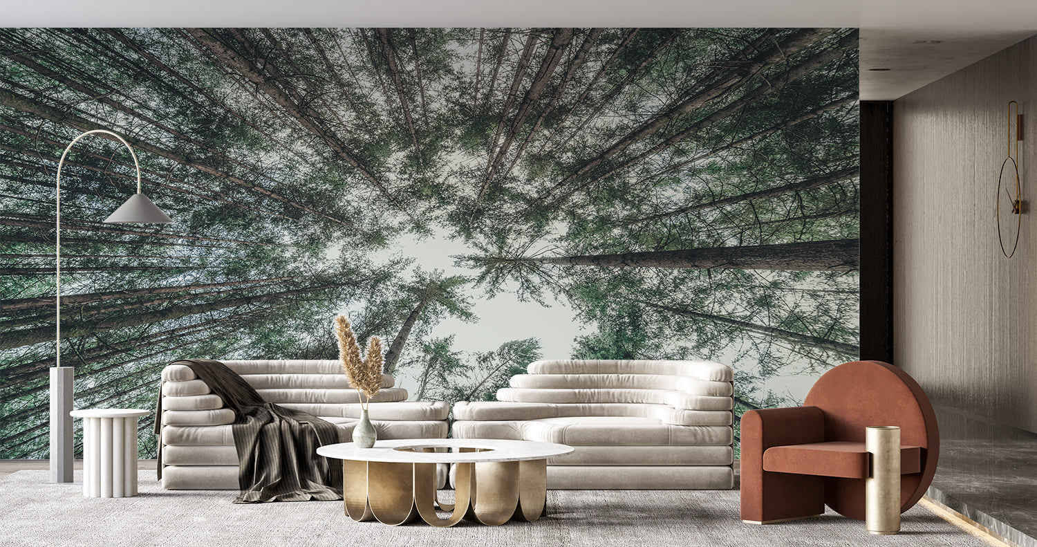 Papier Peint Rond Foret