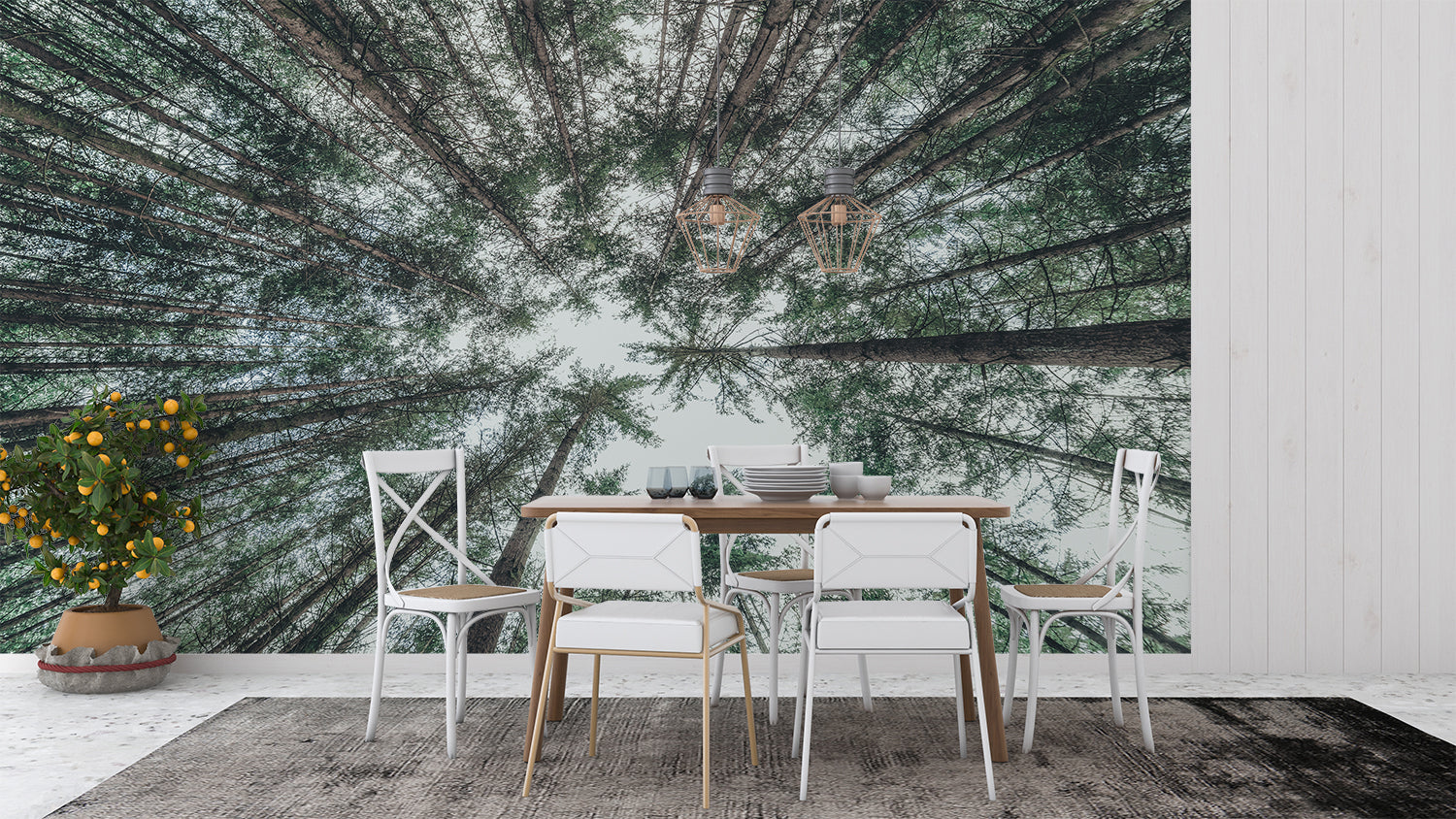 Papier Peint Rond Foret