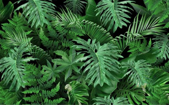 Aangepaste jungle-achtergrond